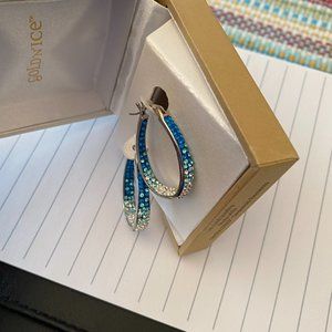 Blue & White Crystal Earrings